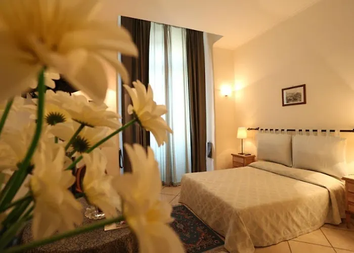 Bovio Suite